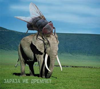 Следующая картинка