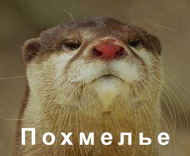 ��������� �������� "��������"